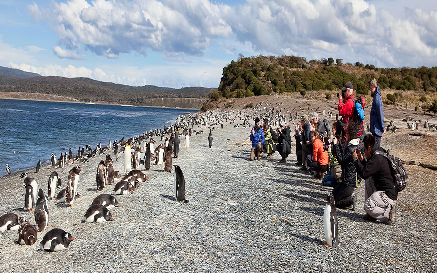 Estancia Harberton y Caminata con Pinguinos, Terrestres > Ushuaia Excursiones Patagonia, Fin del Mundo, Actividades, Tours, Paquetes y más.